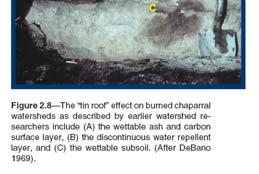 2005 Found in both fire and nonfire environments Can be caused by