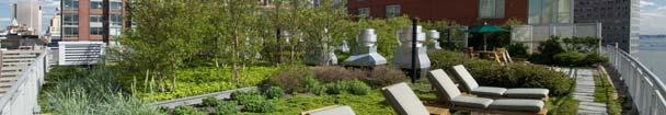 Vegetated Roofs Permeable