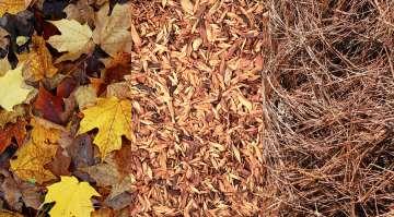 Slide 46 Yard waste as mulch Leaves (whole or shredded) break down quickly. Great for use in vegetable gardens, flower beds.