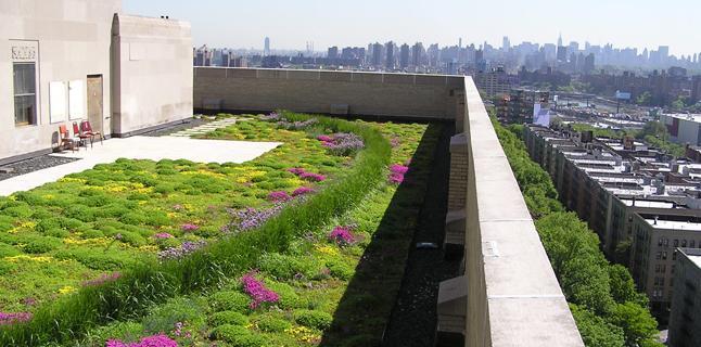 Green roofs GSI in Practice