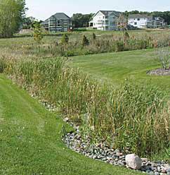 Vegetated Swales are broad shallow channels topped with vegetation, also known as bioswales. Swales are designed to slow runoff, promote infiltration, and filter out pollutants and sediments.