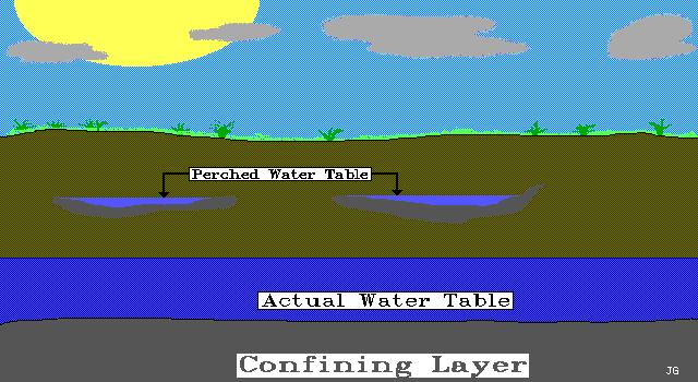 Even when neighboring swales are dry, the swale may retain water due to a perched water table.