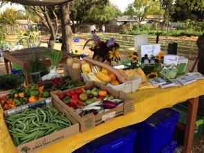 food was sold to local restaurants, individuals through our CSA (Community Supported