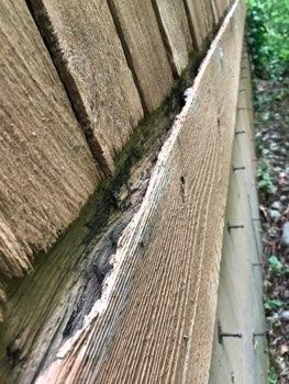1. Siding Condition Exterior Areas Siding appeared in good condition overall.