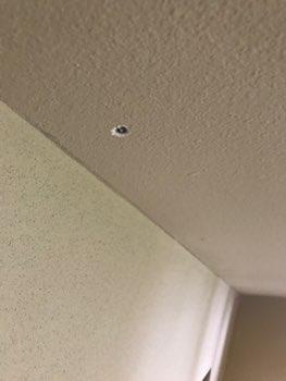 Nail pops at ceiling do not appear unusual. 3.