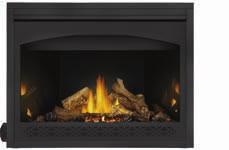 Ascent 46 Unlimited Capabilities Napoleon s Ascent 46 is now the largest single view fireplace in the Ascent