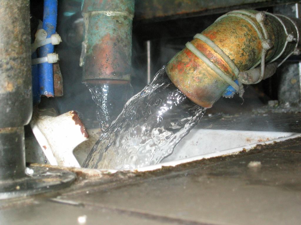 Boiler Based Steamer (Not ENERGY