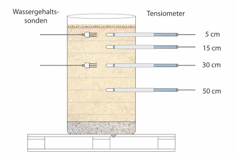 Research on soil water balance Lysimeter like design soil