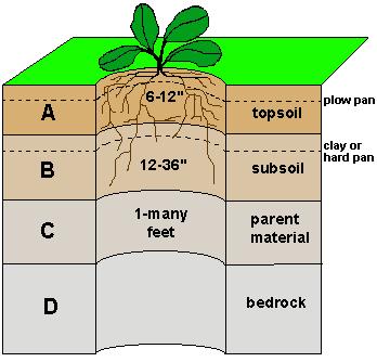 Soils Consists of a series of layers called Topsoil (A horizon) upper most layer Soils