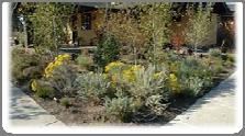 Uses for Native Plants Xeriscaping Water conservation Restoration Naturalization Deer resistance Fire resistance Xeriscaping Xeriscaping is the wise use of water through