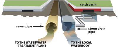 Impervious surfaces lead to storm drains Contents go to a wastewater treatment plant