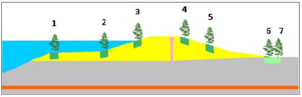 Numerical Modeling Cont d Schematic of Tree