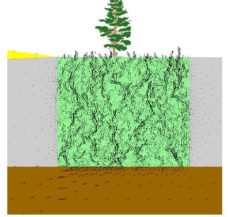Numerical Modeling Cont d 2-D Seepage Analysis Findings Representation of vegetation influence as randomly distributed hydraulic conductivity within the block-- macropore heterogeneity.