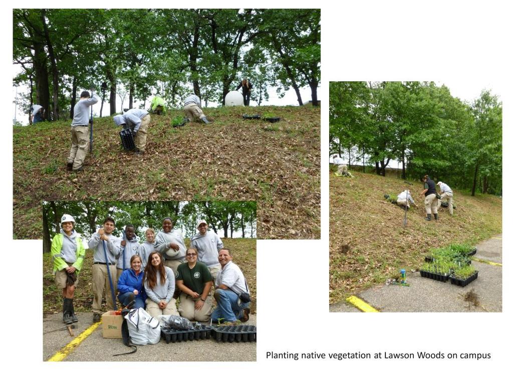 The area known as Lawson Woods near Lawson Ice Arena has been transformed immensely thanks to the hard work of AmeriCorps.