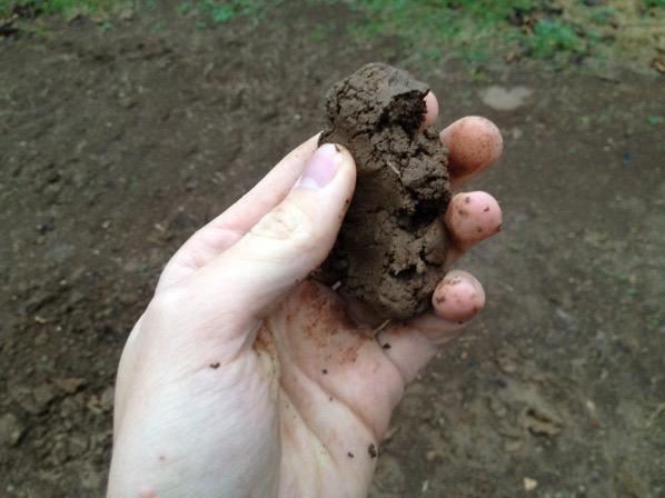 A. Texture If you can only stretch it an inch or so then you have a loamy soil which means its probably fairly well