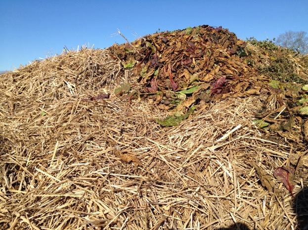 3. The Successful Compost Pile A good ratio is around 3 parts of browns to 1 part of greens