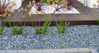 imported river pebbles and gravels that have completely revolutionised the concept of landscape