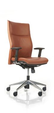 backrest that offers greatly improved lumbar support and takes comfort and flexibility to new heights.