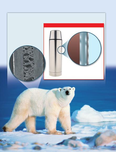Teach from Visuals To help students interpret the diagrams and photographs of the polar bear and the vacuum flask, ask: Why is the polar bear s hollow hair an effective insulator Air inside the hair