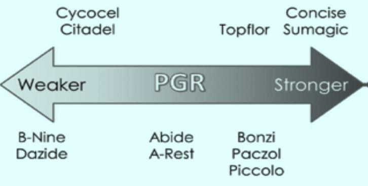 Choice PGR Application Method and Level of Activity Active Ingredient PGR Example