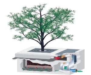 Low Impact Development (LID) Practices Tree Box Filters