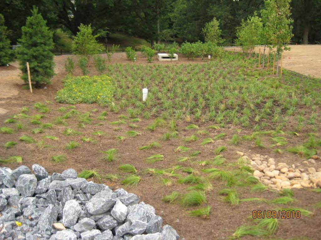 Rain Gardens A landscaped depression with the ability to capture, temporarily retain, and filter surface runoff A rain garden is a