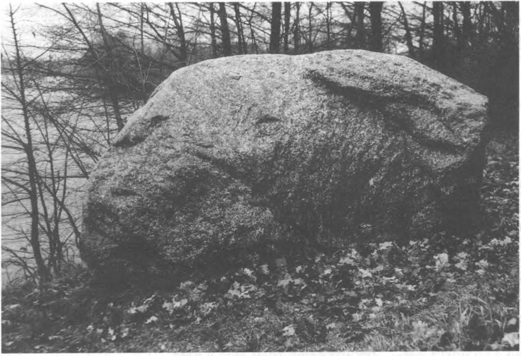 1nuotr. Mergos akmuo Karliškių kaime (Alytaus r., Daugų ap). Fot. 1990 07. Tada pažymėta, kad akmenys guli Lotockio kalne, prie kelio Nemunaitis - Alovė.