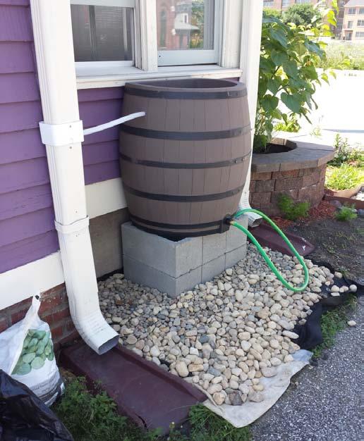 Rain barrels are easy and affordable ways to use water that s
