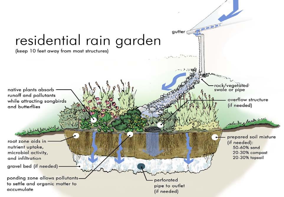 Rain gardens and bioswales are two similar features that help with water overflow, especially in low lying or depressed areas.