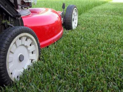 Avoid herbicides if you can! Mow high! Release mower clippings back into your yard if possible!