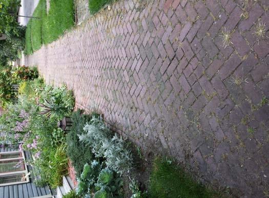 hardscaping that you install! 7.