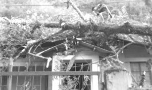 TIR YIMYIM, DIMAPUR THURSDAY JUNE 01, 2017 REGIONAL 3 Cyclone Mora ajanga Mizoram nung ki aika raksatsü Aizawl, May 31, 2017: Mongolbarnü Mizoram yimtiba, Aizawl nung cyclone Mora ajanga süngdongtem
