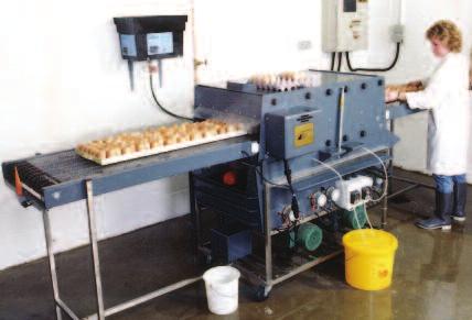 Series 3-4000 Standard will clean and sanitise up to 9,000 hatching eggs per hour on trays up to 13 inches/33cm wide.