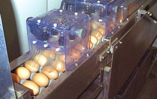 EGG CLEANERS FOR COMMERCIAL / TABLE OR HATCHING EGGS SIDELINERS The Sideliner is designed to stand alongside main conveyor