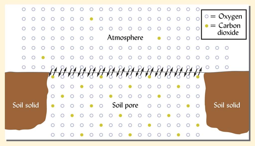 Soil Gas-Atmosphere Exchange is Largely