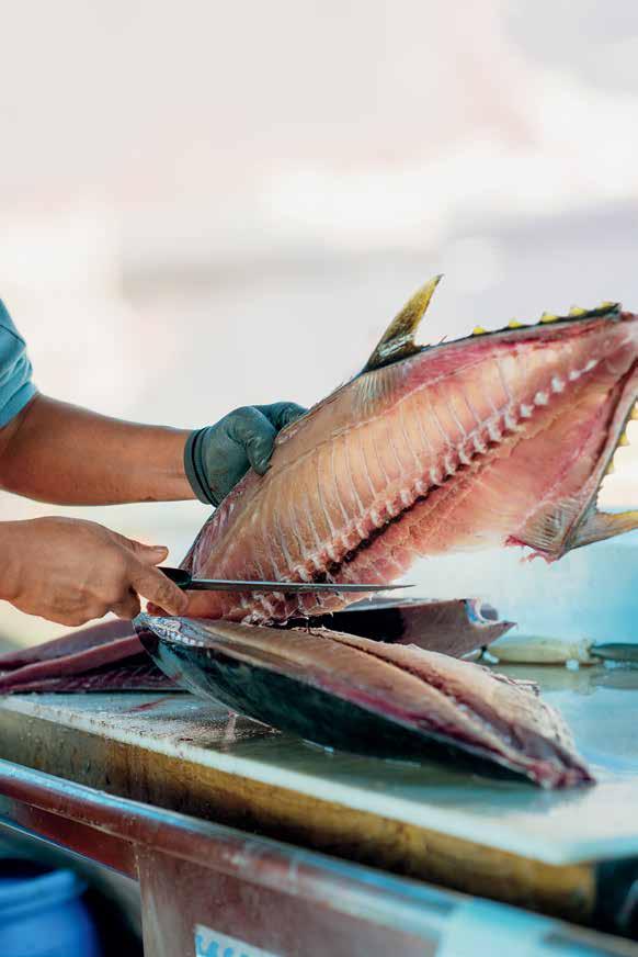 He s happy to show the day s live catch, and tell you how to keep it fresh and make it taste delicious. San Diego was once the Tuna Capital of the World.
