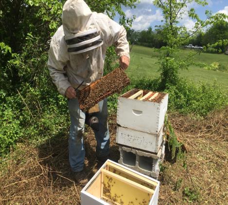 Fort Harrod Beekeeping Club Field Day! Interested in learning about how a beekeeper examines a beehive? Wondering how you should check your own hive to make sure it is ready for winter?