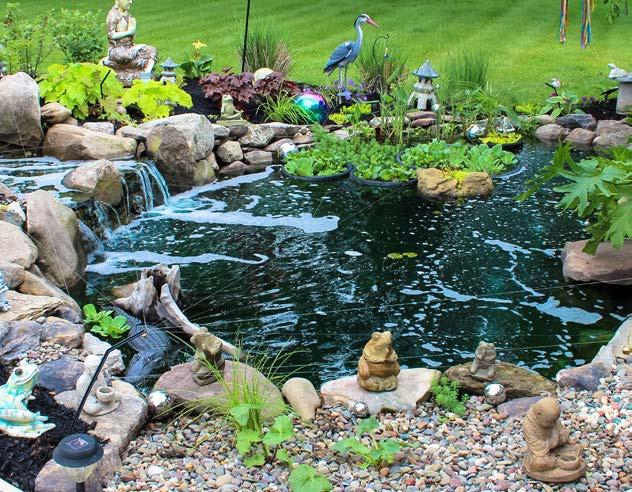 Why a Water Feature?
