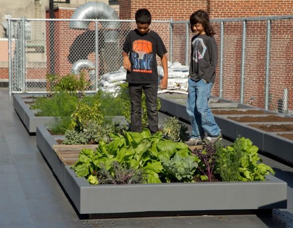 Gardens Add Life to a Growing Number of School Curriculums By Zachary Stieber On November 8, 2012 @ 11:43 pm In New York City No Comments Students survey plants in October on the new rooftop garden