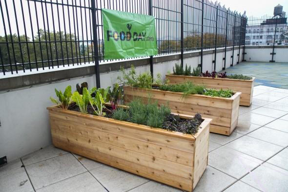 A school garden recently opened atop Mott Haven Academy Charter School in the Bronx, New York City.