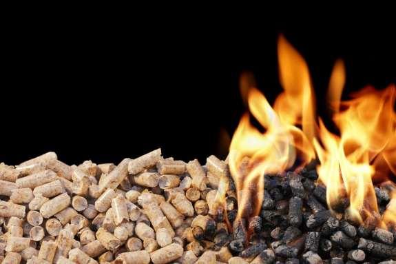 Biomass Systems A Biomass system is one that relies on a stream of off cast material that can be burned