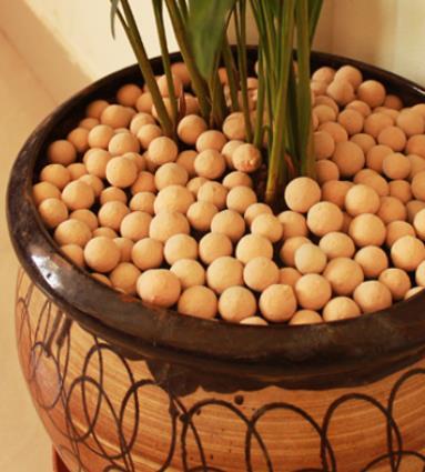 Flower Pot Arrangement EXPANDED CLAY AGGREGATE (ECA) has a pleasant finishing appearance, and it has become an important growth nutrient holder for gardener.