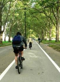 A demarcated cycle lane in the Park should be avoided to minimise conflict. To provide ease of movement through the Park in a shared pedestrian and cycle environment. PR3.2.