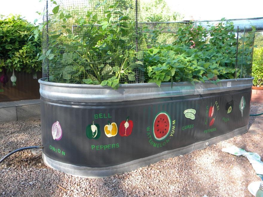 Raised Bed Garden Or Containers Easy on