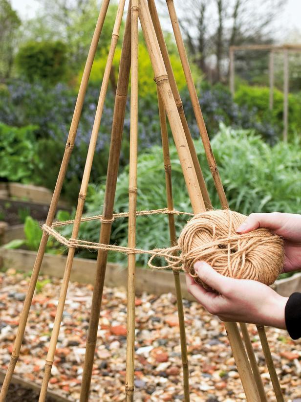 8. Use twine to tie the stakes together where they meet; make several loops around each stake to tie them securely. Use a step stool or small ladder to do this, if needed. 9.