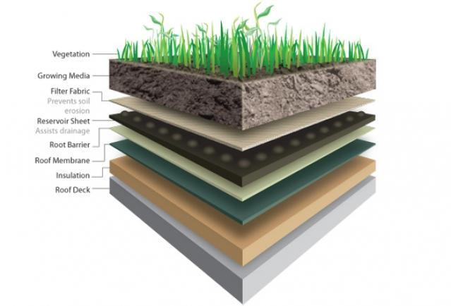 Benefits of Green Roofs Insulation Energy savings Habitat Provide