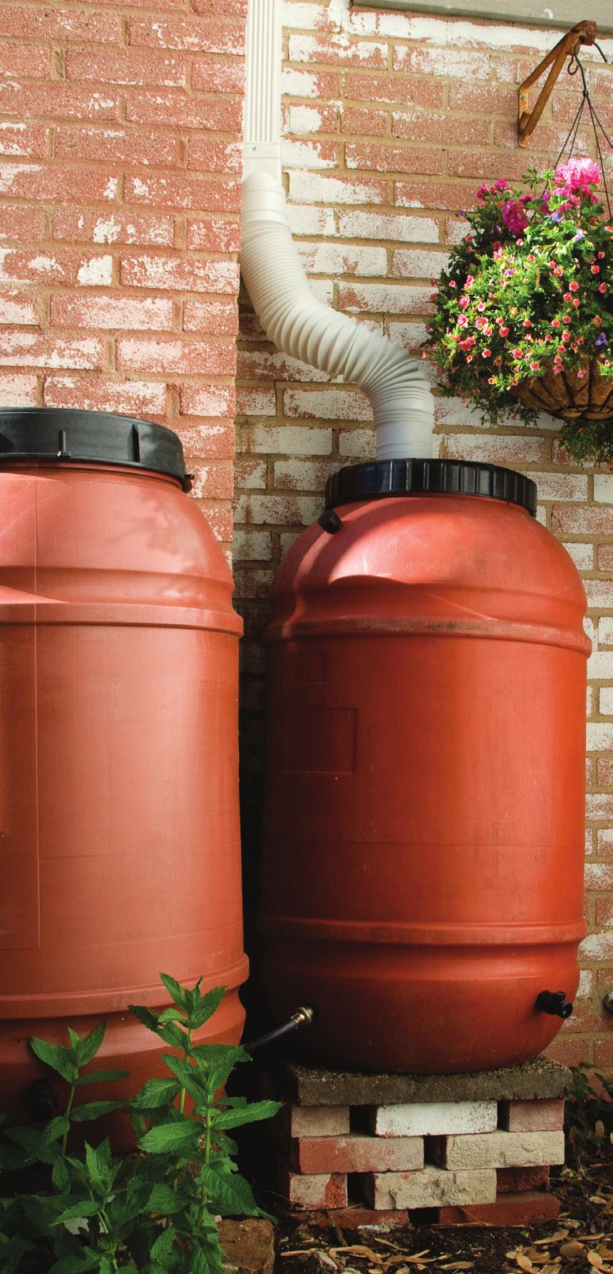 rain barrels & cisterns Capturing rainwater helps keep your garden green while reducing water use for irrigation.