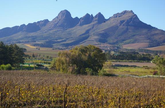 This has been done to ensure continuity with the rural and Cape place making qualities of the surrounding rural areas, while at the same time recognising the specific setting within the village of