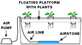 An supplies air to the air stone that bubbles the nutrient solution and supplies to the roots of the plants.