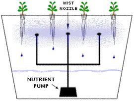 Aeroponics The aeroponic system is probably the most type of hydroponic gardening. Like the N.F.T. system above the growing medium is primarily.